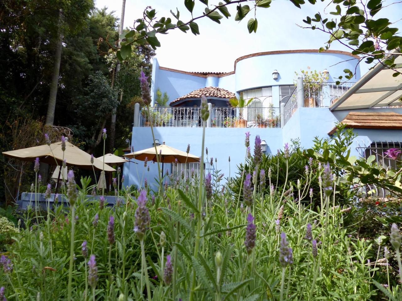 מלון סאן מיגל דה אלנדה Casa Carly מראה חיצוני תמונה