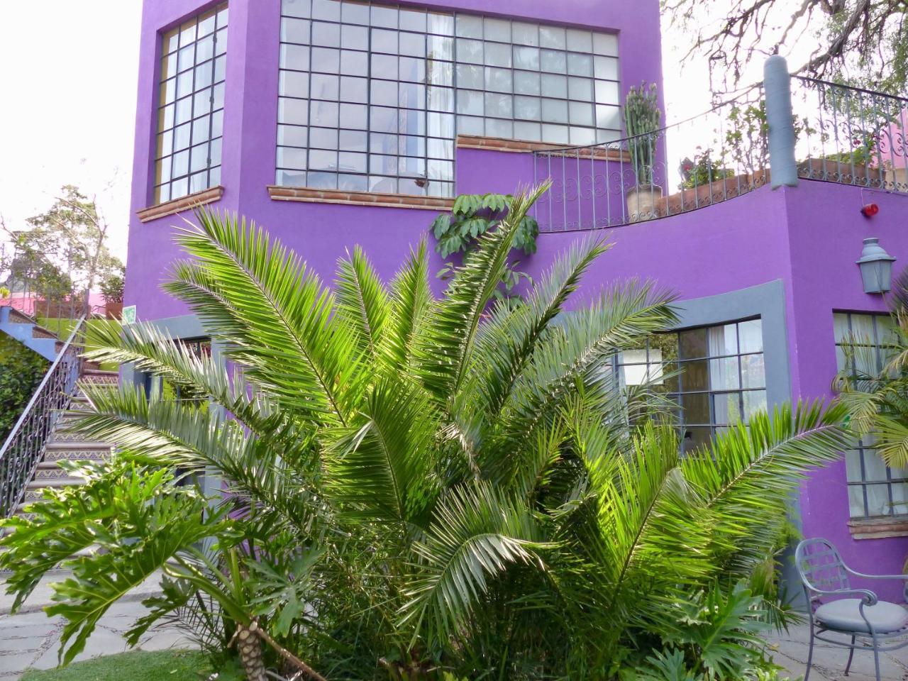 מלון סאן מיגל דה אלנדה Casa Carly מראה חיצוני תמונה